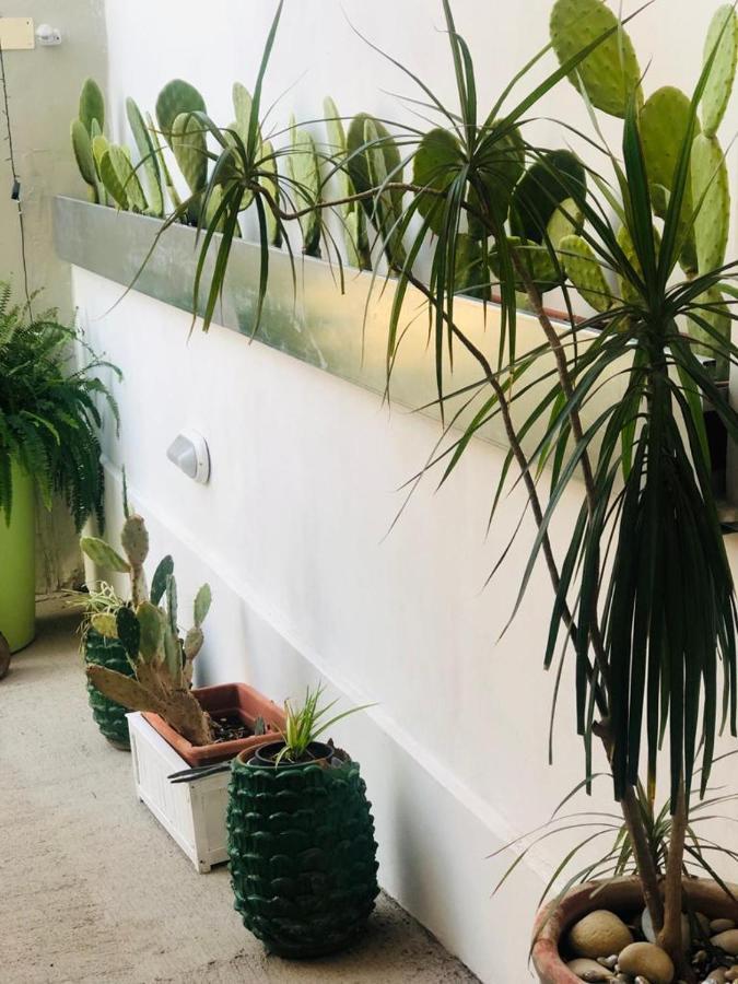 דירות אבולה Sicily Holiday House מראה חיצוני תמונה