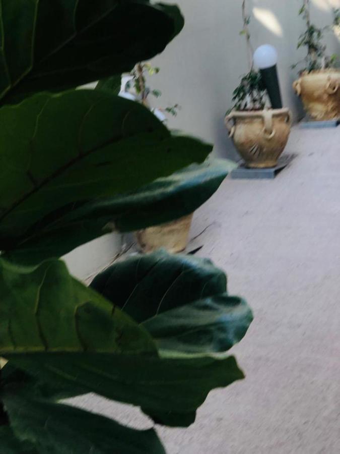 דירות אבולה Sicily Holiday House מראה חיצוני תמונה
